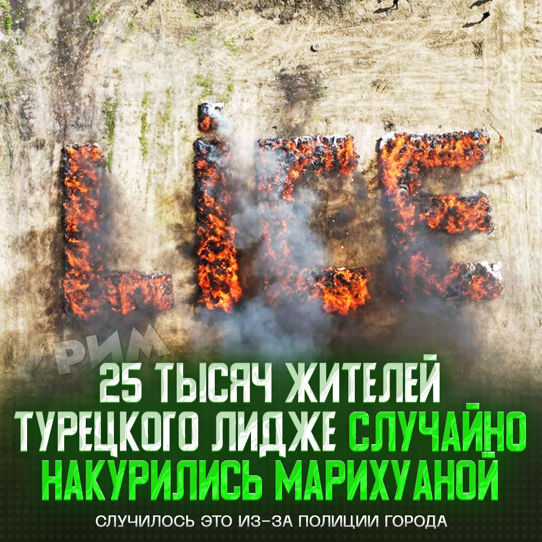 Полиция накурила травой 25 тысяч жителей турецкого городка Лидже Местные стражи порядка устроили показательное сожжение 20 тонн марихуаны после поимки крупного наркоторговца. Гении просчитались и небо над городом охватил дым от наркокостра, эффект от которого жители чувствовали аж пять дней. Удивительно нет , но ни одной жалобы на полицию так и не поступило. Рифмы и Морген