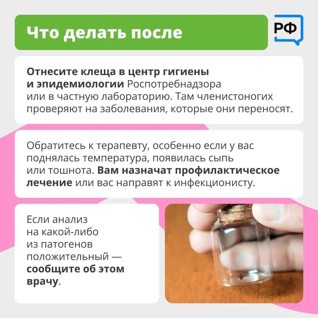 Более 3,5 тысяч человек, включая почти 1,6 тысячи детей, пострадали от укусов клещей в Краснодарском крае с начала года. Исследовано более 2 тысяч клещей, из которых 13,5%оказались переносчиками иксодового клещевого боррелиоза. ЧП Краснодара и края