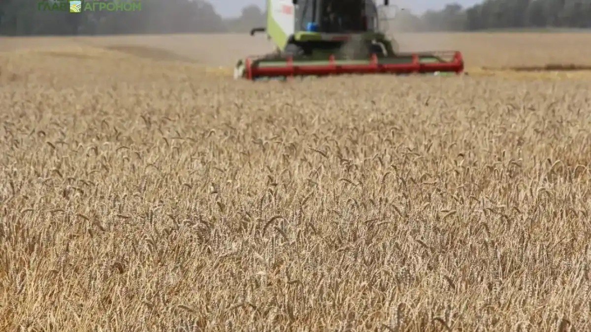 Опубликован рейтинг стран импортеров российской пшеницы за июль декабрь 2025 года По данным аналитиков в указанный период Россия экспортировала 26 7 млн т пшеницы Это на 3 млн т меньше рекордного показателя 2024 года 29 7 млн т Подробности