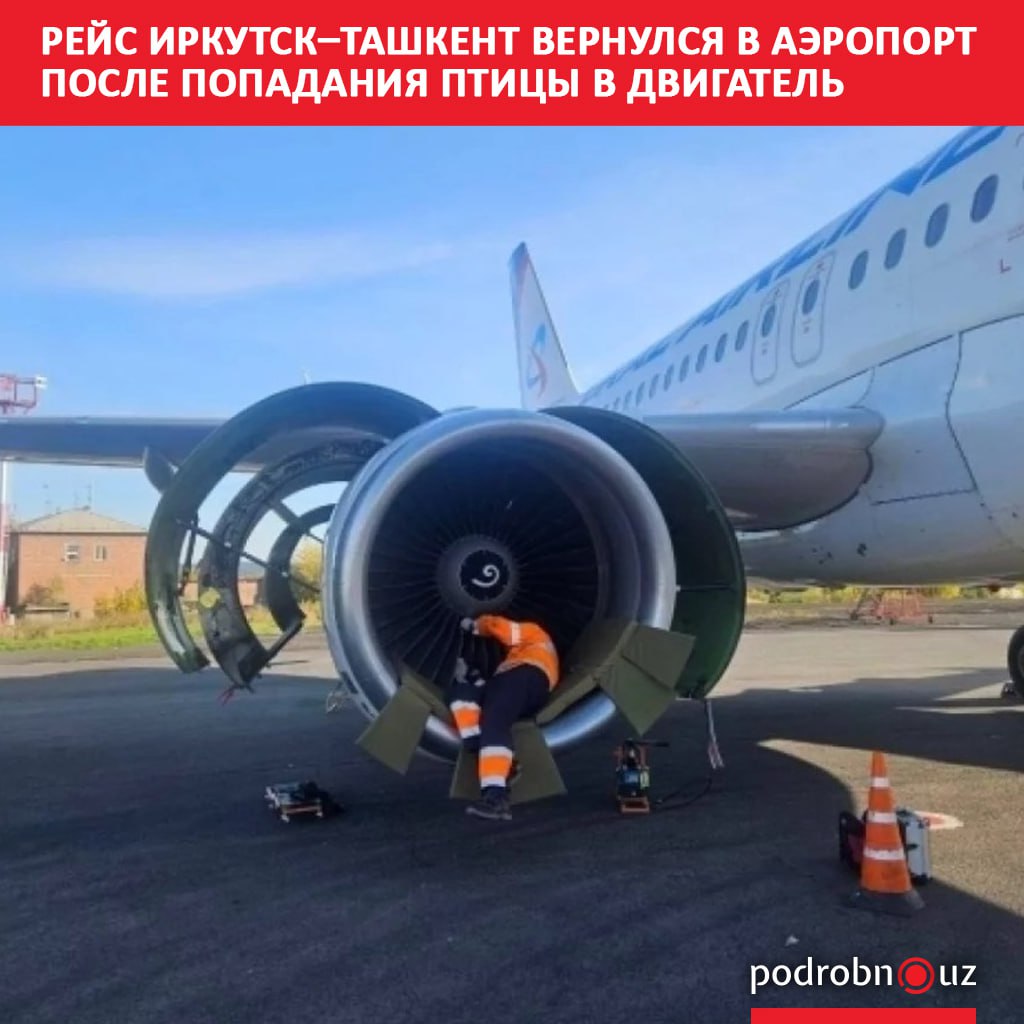 В Иркутске самолет авиакомпании Уральские авиалинии выполнявший рейс в Ташкент был вынужден вернуться в аэропорт вылета Причиной стало попадание птицы в двигатель при взлете podrobno uz cat obchestvo reys irkutsk tashkent vernulsya v aeroport posle popadaniya ptitsy v dvigatel Telegram Instagram Facebook Читать на узбекском