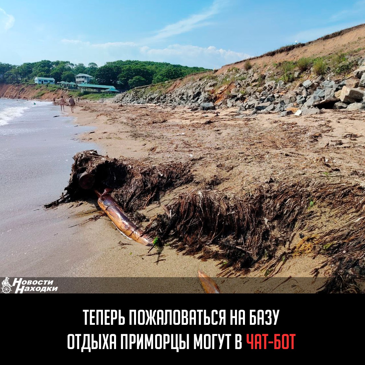Министерство туризма Приморья запустило специальный чат-бот в Telegram  , в который жители и гости региона смогут сообщать о недобросовестных местах отдыха, некачественном сервисе.  Сообщается, что сбор информации о нелегальной деятельности предпринимателей направлен на защиту прав и безопасность туриста.  Как заявили в ведомстве, «улучшение качества туристических услуг в Приморье остается безусловным приоритетом властей».  «Если вы оплатили свой отдых, а никакого финансового документа не получили, обязательно сообщите об этом. По каждому обращению мы проведём проверку, чтобы выявить недобросовестные места отдыха», — подчеркнула министр туризма Приморья Наталья Набойченко.  Там заверили, что все обращения в чат-бот останутся анонимными.