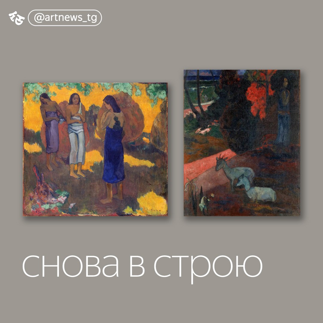 В Эрмитаже отреставрировали картины Гогена Завершилась реставрация двух картин Поля Гогена — «Три таитянки на желтом фоне» и «Пейзаж с козами». Эти работы были написаны постимпрессионистом в островной период творчества с помощью экспериментальных материалов. «Все картины Гогена так или иначе представляют собой проблему. И во многом эта проблема была заложена изначально, в момент их создания. Художник ставил перед собой задачу, используя масляную живопись, лишить ее масляного глянца. Его новаторские идеи приводили к тому, что он пренебрегал некоторыми техническими особенностями масляной живописи. Это сказывается практически на всех его работах, особенно позднего, таитянского периода. Гоген часто использовал „тощий“, тянущий грунт, который впитывал излишки масла, чтобы живопись приобретала матовый, сатиновый оттенок; с той же целью он и сами краски дополнительно разжижал скипидаром. Плюс влажный тропический климат, в некоторых случаях использование грубой мешковины вместо холстов, многомесячная транспортировка картин в рулонах — все это не способствовало хорошей сохранности живописи. И первые реставрации проводились в Париже прямо тогда же, по свежим красочным слоям», — комментирует реставратор Виктор Коробов. Сначала реставраторы тщательно изучили оригинальные материалы и в Лаборатории научной реставрации удалили старый лак и загрязнения, сохранив при этом восковой защитный слой. После укрепления структуры холстов была восстановлена прозрачность воска и восполнены утраченные фрагменты авторской живописи. Полотна вновь заняли места в постоянной экспозиции Главного штаба. — новости искусства. самое важное и интересное. подписывайтесь. источник