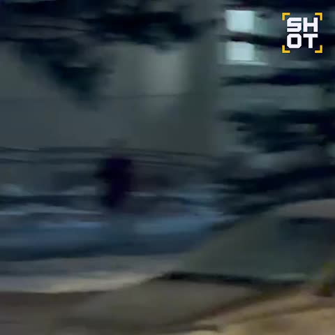 Слон сбежал из цирка в Самаре и был быстро возвращен