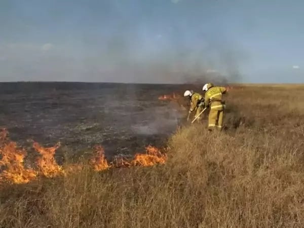 В Ростовской области сохраняется чрезвычайная пожароопасность  В Ростовской области сохраняется высокая чрезвычайная пожароопасность. Об этом сообщили в донском ДПЧС 10 сентября.    В регионе до 20 октября запрещено разводить костры и сжигать мусор, сухую траву, бытовые отходы в лесах, на сельскохозяйственных угодьях и территориях садоводческих и дачных некоммерческих объединений.    Также нельзя использовать открытый огонь и разводить костры на землях населенных пунктов, сельскохозяйственного назначения и на землях запаса.   Подписаться на "Новости Ростова"    Прислать новость