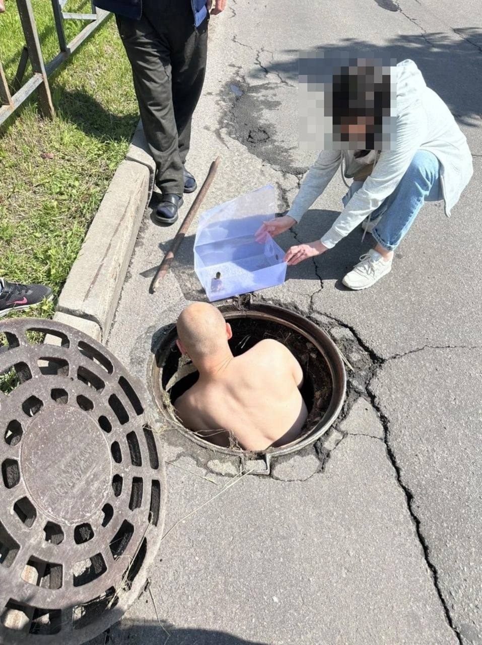 На Богатырском проспекте утята провалились в люк, а мама-утка беспокойно бегала рядом и звала на помощь. Прохожие решили не ждать спасателей. Дворник принес лом, утят вытащили, посадили вместе с мамой в коробку и отнесли к ближайшему пруду. Подписаться Новости СПБ
