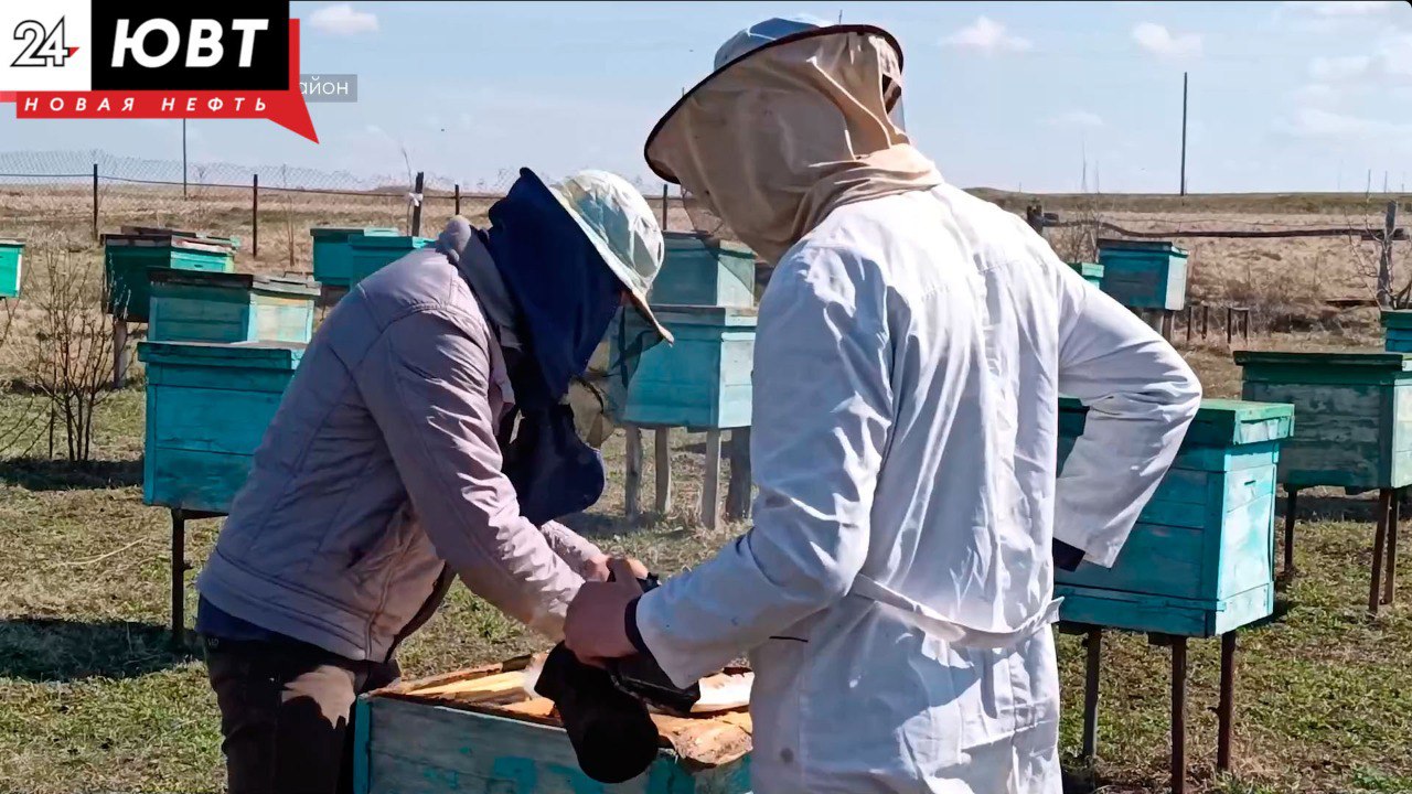 Пчеловодов Татарстана обяжут регистрировать пасеки  В Татарстане пчеловоды должны зарегистрировать свои пасеки в федеральной системе «Хорриот» до 1 сентября.  Чтобы зарегистрироваться, нужно обратиться в ветеринарную службу, которая проверит пасеку и внесёт данные в систему. Каждому улью присвоят уникальный код. Такая регистрация поможет избежать отравления пчёл при обработке полей химикатами.  Те, кто не успеет зарегистрироваться к сроку, могут получить штраф: до 5 тысяч рублей для индивидуальных пчеловодов и до 20 тысяч — для организаций. Процесс регистрации бесплатный и не займёт больше часа.