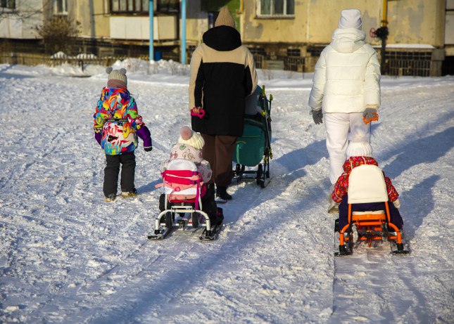 Депутат Госдумы помогла жительнице Коркино взыскать алименты   Отец детей переехал в другую область и уклонялся от выплат.