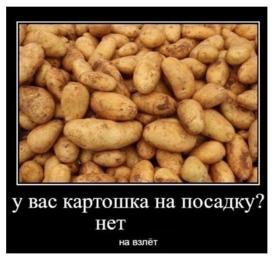 После подорожания картофеля почти на 200% в РАН разработали «инновационный» способ выращивать его в квартирах В Санкт-Петербургском центре РАН представили «инновационную технологию» — как быстро и без спецоборудования выращивать картошку у себя дома. В чём суть метода, не говорят. Но обещают: «клубни защищены от инфекций, урожай — быстрый». Почти как на огороде, только между стиральной машиной и микроволновкой. По данным Росстата, картофель — лидер подорожания: +173% за год. Килограмм сейчас стоит почти 92 рубля — максимум за 23 года наблюдений. Поэтому россияне массово переходят на крупы и макароны. Подписаться Помочь RusNews