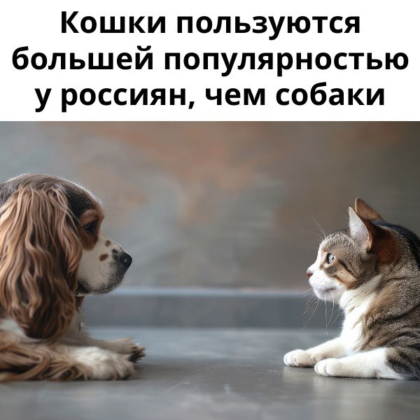 Кошки пользуются большей популярностью у россиян, чем собаки   В России более половины семей содержат домашних животных. Согласно исследованию, проведённому Финансовым университетом при Правительстве РФ и компанией "Ингосстрах", кошки снова обогнали собак по популярности среди россиян.  Больше всего питомцев можно встретить в Набережных Челнах и Новокузнецке - 76% опрошенных имеют домашних животных. Во Владивостоке этот показатель составляет 72%, в Кемерове - 71%, а в Иркутске - 70%. Москва и Санкт-Петербург немного отстают: 55% и 56% владельцев животных соответственно.   Среди домашних животных лидируют кошки  51,3%  и собаки  30,2% . Также россияне заводят рыбок  2,7% , грызунов  1,9%  и птиц  1,7% . Рептилии и черепахи встречаются реже  0,4% .  Большинство животных попадают к своим хозяевам бесплатно: их берут у знакомых, находят на улице или получают в подарок. Только треть собак  32%  и четверть кошек  26%  приобретают у заводчиков. Инициатива завести питомца чаще всего исходит от детей  60% , а женщины проявляют большую активность в этом вопросе, чем мужчины.  Среди самых популярных пород собак выделяются немецкие овчарки, шпицы и лабрадоры, а среди кошек - шотландские вислоухие, сиамские и британские.   Содержание питомца - удовольствие не из дешёвых. В среднем хозяева тратят на это 4,1 тысячи рублей в месяц. Каждый десятый владелец тратит более 10 тысяч рублей ежемесячно, а ветеринарные услуги обходятся в 3,9 тысячи рублей за визит. 10% хозяев обращаются к врачу чаще пяти раз в год.  40% владельцев сталкивались с порчей имущества из-за питомцев, причём у 8% ущерб был значительным. Однако только 5% россиян страхуют своё жильё на случай таких ситуаций.   Домашние питомцы требуют внимания, ресурсов и финансовых вложений. Страховка может помочь компенсировать расходы на лечение животного в случае болезни или травмы, но большинство владельцев пока не пользуются этой возможностью.    Подписаться