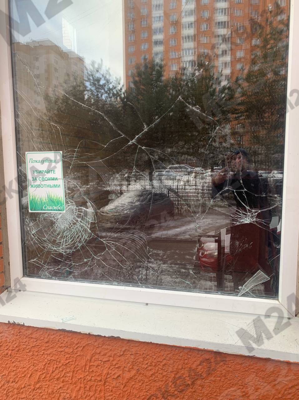 Жители многоэтажки в Щербинке остались без новогодней ёлки после адского ночного разгуляя пьяной компании Неадекваты напали на дом в посёлке Знамя Октября разбили окна и лампы в лифтах вырвали камеры домофонов и сломали мусорки во дворе Украденная из подъезда ёлка стала апофеозом от наряженной красавицы создававшей жителям новогоднее настроение осталась только пара веток с шарами да одинокая мишура Заявление в полицию написано виновников уже нашли Видео фото и информация Москва 24