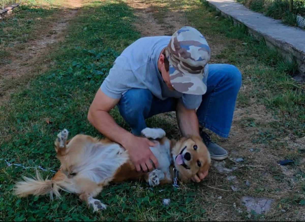 Бруно Кнопка и Муська орловцы показали своих любимцев в День домашних животных newsorel ru fn 1762195 html Сегодня 30 ноября отмечается Всемирный день домашних животных Цель этого праздника привлечь внимание к проблемам питомцев и воспитать в людях ответственность за них Прислать новость Подписаться