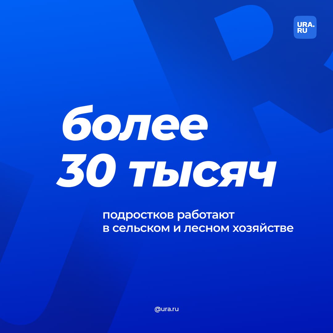 Работающие подростки спасают российскую экономику. В 2023 году их число выросло до 86,7 тысяч с 61,6 тысяч в 2022 году.   Больше всего несовершеннолетние любят работать в полях и лесах: в этих сферах их трудится чуть более 30 тысяч. Подросткам также нравятся низкоквалифицированная работа.   Компании привлекают несовершеннолетних к работе из-за серьезной нехватки кадров на рынке, рассказал эксперт «Известиям». Хотя, работодатели понимают низкий уровень квалификации подростков, им все равно приходится подстраиваться под молодежь. Например, для этого компании создают гибкий график.