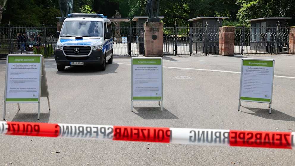 Активисты штурмуют зоопарк Нюрнберга, чтобы спасти павианов  Зоозащитники прорвались на территорию зоопарка Нюрнберга. Ранее зоопарк объявил, что собирается избавиться от части своего поголовья павианов. Вольеры рассчитаны всего на 25 животных, но в последнее время популяция выросла до сорока с лишним особей. Павианы стали часто конфликтовать и драться. Попытки передать лишних животных другим учреждениям потерпели неудачу, несмотря на большие усилия руководства.   Сегодня зоопарк неожиданно закрылся — «по техническим причинам». Это привлекло внимание зоозащитников. Около двадцати человек пришли протестовать у входа в парк. Они опасаются, что территорию закрыли, чтобы скрыть от публики убийство животных. Перед воротами дежурят полицейские машины, входная зона оцеплена сигнальной лентой. Полицейским кричат: «Как вы объясните сегодня вечером своим детям, что вы защищали убийц павианов?»  Тем не менее сначала всё проходило мирно. Однако вскоре после 15:00 группа активистов перелезла через забор и прорвалась на территорию зоопарка. Некоторых из них остановила служба охраны, сообщил корреспондент BILD с места событий. Остальные пока остаются в парке.   Зоопарк Нюрнберга анонсировал, что позднее даст пресс-конференцию.