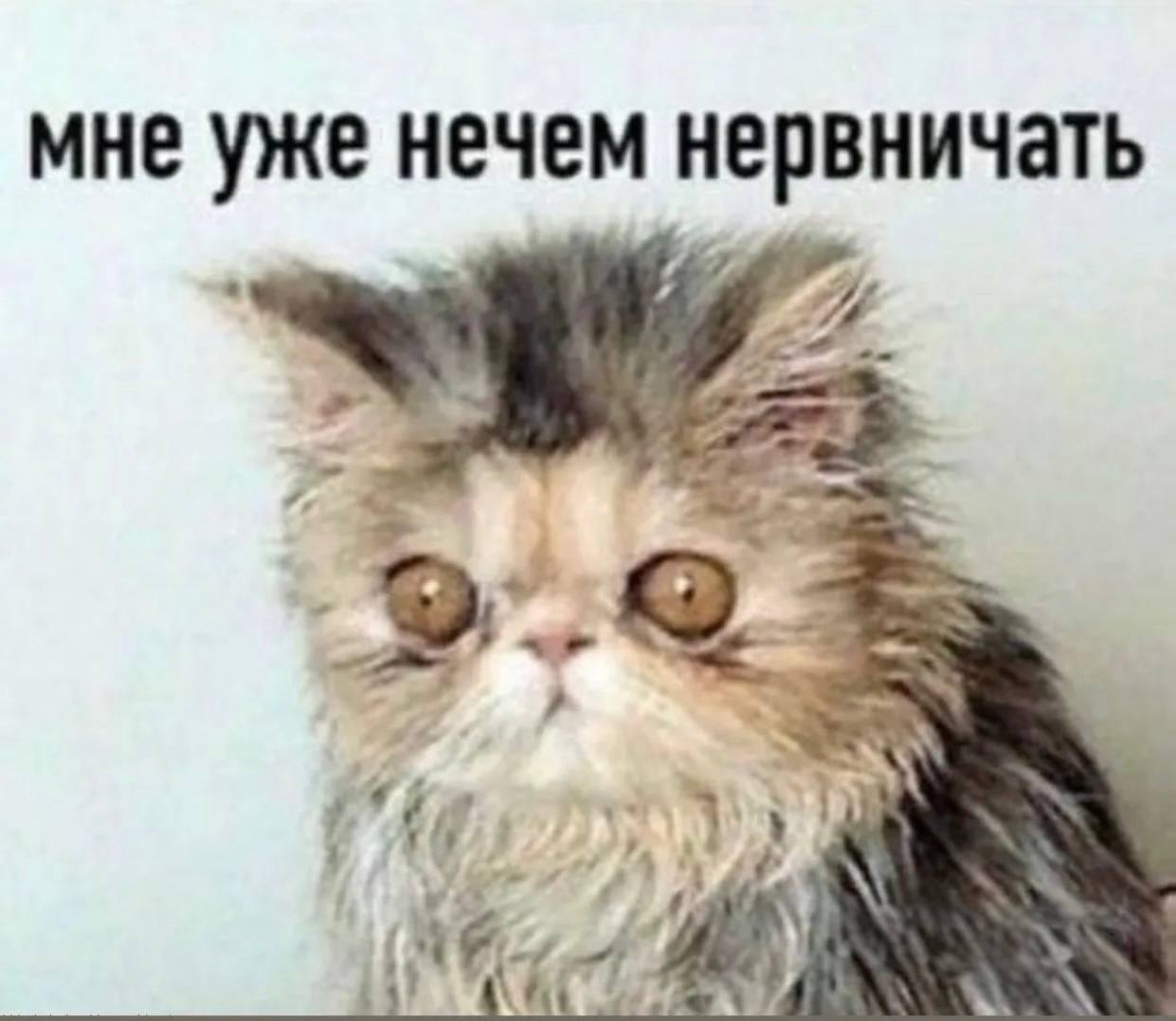 Уровень стресса среди россиян вырос за три года с 26 до 37 при этом молодежь в возрасте 25 33 лет испытывает регулярное напряжение в четыре раза чаще чем представители старшего поколения аналитический центр ВЦИОМа по итогам опроса Дмитрий Никотин Подписаться