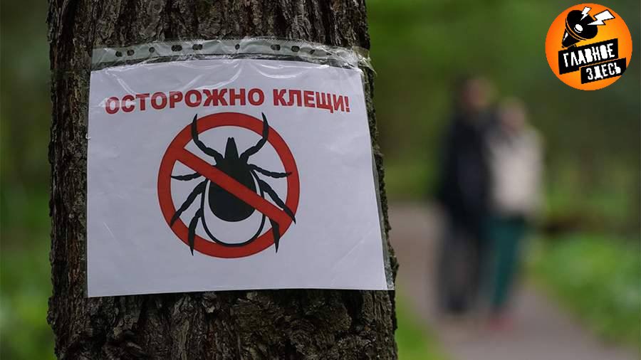 Численность клещей в Красноярском крае превысила норму в 30 раз Жаркая весна спровоцировала аномальный рост активности паразитов. С начала сезона зарегистрировано уже около тысячи укусов, причем почти половина — за последнюю неделю. По данным Роспотребнадзора, на некоторых контрольных пунктах зафиксировано до 172 клещей на квадратный километр при безопасном уровне 0,5. Главное — здесь. Подписывайтесь!