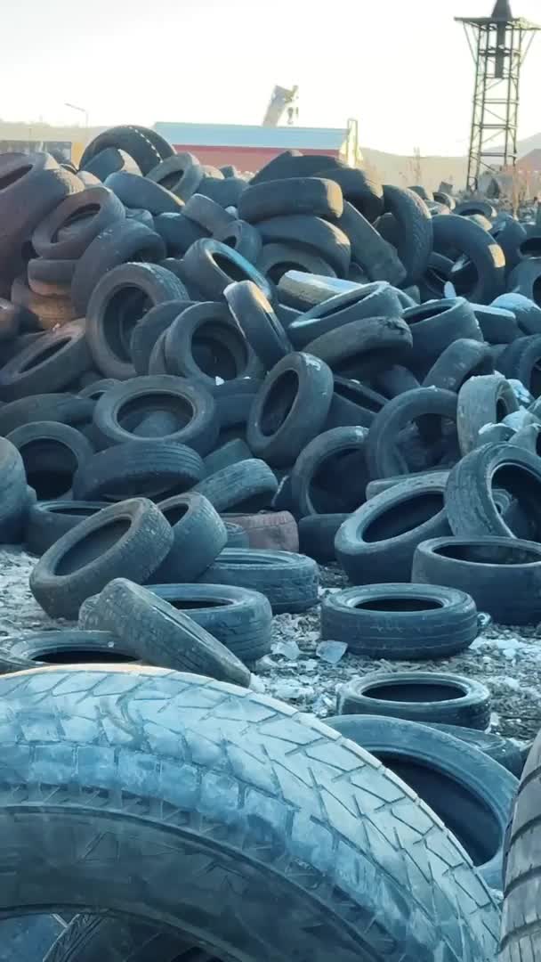 Камчатцы сдали более 40 тысяч покрышек в рамках экологической акции