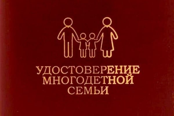 В Луганской Народной Республике продолжается выдача удостоверений многодетным семьям, которые дают право на получение мер социальной поддержки   За два месяца 2025 года филиалы Республиканского центра социальной защиты населения по месту жительства выдали 2653 удостоверения. Всего в республике сегодня проживает около 5500 многодетных семей.   Напоминаем, что удостоверение выдаётся одному из родителей, усыновителей, опекунов, попечителей из числа семей, которые воспитывают трое и более детей.  О процедуре оформления удостоверения многодетной семьи можно узнать  на сайте