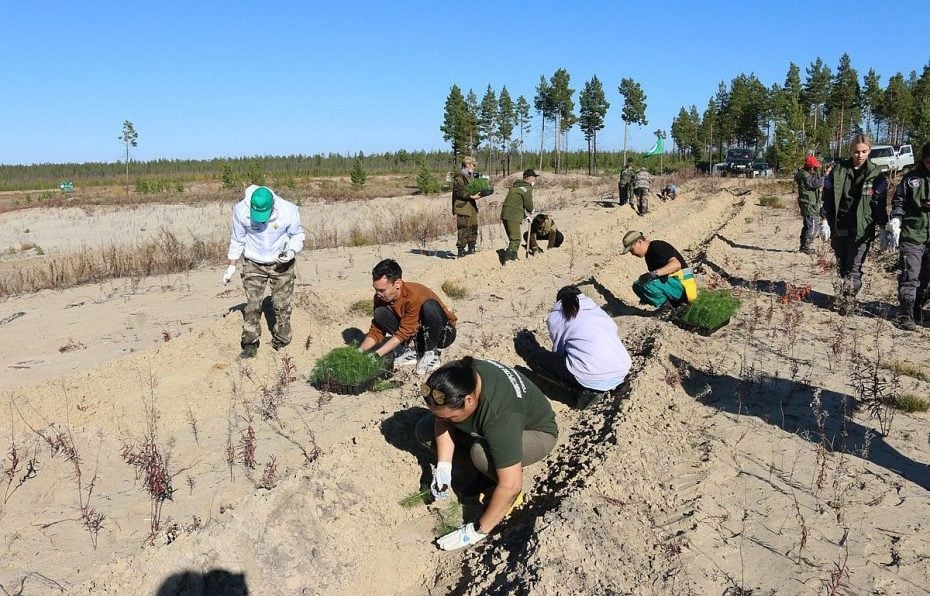 В Якутии восстановят порядка 190 тысяч гектаров леса   До конца года в республике планируется восстановить 189,5 тысяч га леса, об этом сообщили сегодня в региональном Министерстве экологии, природопользования и лесного хозяйства. Работы проведут за счёт субвенций, полученных из федеральной казны.   Восстановлением лесов в регионе занимаются лесопитомники. Первое такое предприятие было открыто четыре года назад Арктическим государственным агротехнологическим университетом в селе Солянка Олёкминского района.