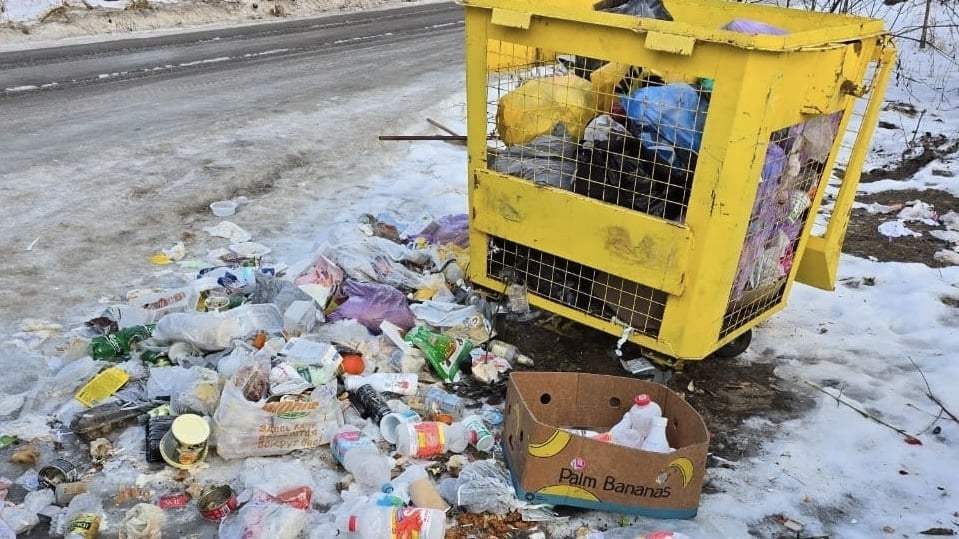 Кладбище Улыбышево под Владимиром превратили в стихийную свалку  Посетители завалили его мусором, сообщил ЦУГД. Люди разбросали пищевые отходы и старую мебель. Все контейнерные площадки убрали.   Коммунальщики посетовали на то, что владимирцы всегда обвиняли их в плохом содержании кладбищ. Теперь же, с они сделали фото, чтобы доказать причастность самих жителей к образованию свалок.    Подписаться   Написать в редакцию