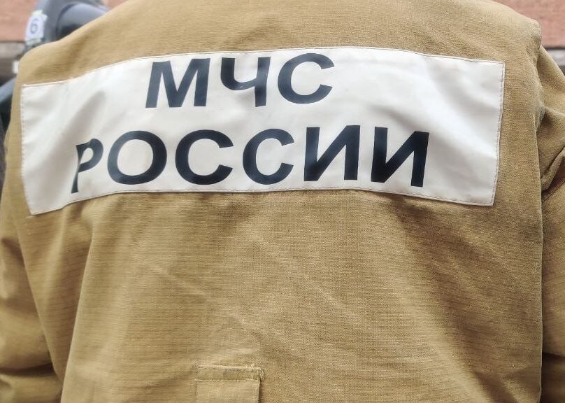 В Курской области за сутки произошло 16 пожаров В 9-ти случаях огнеборцы выезжали тушить сухую траву. Наиболее крупный пожар зафиксировали в посёлке Петрин Курского района. Там огонь разгорелся на площади в 1500 квадратных метров. Ни в одном из случаев не пострадали люди, отметили в курском МЧС. Помимо возгораний, за сутки спасатели трижды выезжали на места ДТП. Фото их архива ТРК «Сейм» Сейм Курская область
