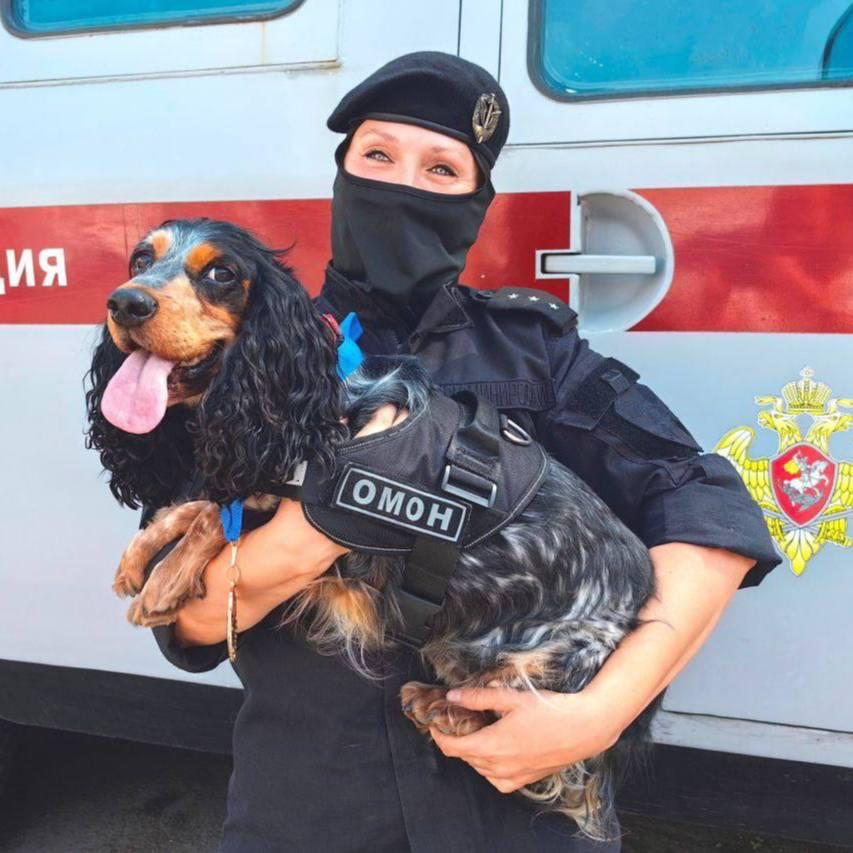 В петербургском ОМОНе на заслуженный отдых ушла собака по кличке «Пуля». За шесть лет службы она успешно выполнила около 440 заданий и обнаружила свыше 30 взрывоопасных предметов. Ставим этой замечательной девочке за блестящую службу! Эй, Питер!