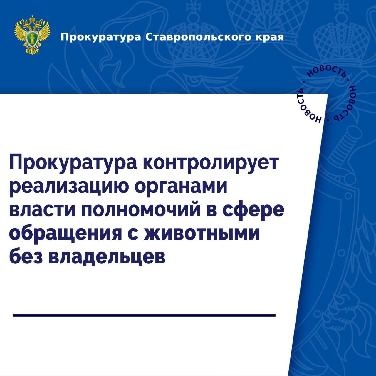 По поручению прокурора края Юрия Немкина органами прокуратуры края реализован комплекс мер с целью активизации работы органов государственной власти и местного самоуправления по исполнению полномочий в области обращения с животными без владельцев.   В результате принятых мер органами местного самоуправления только в октябре – декабре прошлого года для организации предусмотренных законом мероприятий выявлено и помещено в пункты временного содержания более 900 безнадзорных животных.   Это способствовало сокращению случаев нападения бездомных животных на людей на 45 %.   При реализации надзорных полномочий прокурорами в суд направлено 124 иска о возмещении морального вреда, причиненного пострадавшим от нападения собак, в том числе детям, главам муниципальных образований внесено 61 представление.    По искам прокуроров в счет компенсации морального вреда в пользу граждан с органов местного самоуправления взыскано более 1,7 млн рублей.    В настоящее время в бюджете края предусмотрено дополнительное финансирование в размере 73 млн рублей на строительство пункта временного содержания животных в г. Невинномысске. Возведение объекта запланировано в первом полугодии 2025 года и будет осуществляться при активном надзорном сопровождении прокуратуры края.   Работа в данном направлении продолжается.