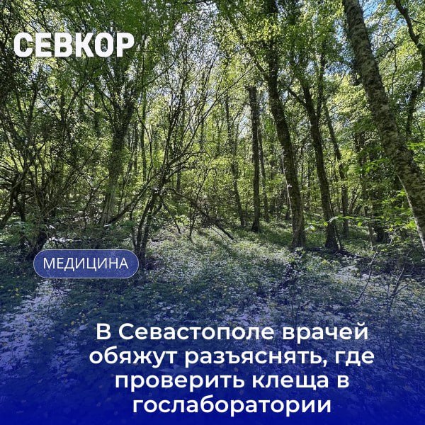 Губернатор Севастополя поручил врачам «не хихикать», а объяснять людям, куда отправлять клещей на анализ В ходе заседания правительства Михаил Развожаев высказал свое возмущения относительно поведения врачей в травмпункте Первой горбольницы во время обращения людей с жалобами на укусы клещей. «Вроде все сделали, все наладили. В травмпунтах людей отправляют в какие-то частные непонятные места, значит, там хихикают, рассказывают, что никогда такого не было, везите куда хотите. Жалобы на Первую городскую больницу, на травмпункт. Там люди не понимают, для чего они работают, может быть, в другом месте где-то работу поискать. Воспитательные работы проведите, тем более у нас главный врач депутат. Должен понимать, как надо с избирателями работать», — заявил Развожаев и поручил главе депздрава «навести порядок» и самому съездить в травмпунты: «Объясните людям, как у нас теперь это все работает, если им смешно». Глава города добавил, что сейчас в гослабораториях можно сделать исследование за 900 рублей, в дальнейшем будет рассмотрена возможность выделения средств на эти цели из госпрограммы. По его словам, речь идет о небольших суммах — не более одного миллиона за весь сезон. Читайте Севкор