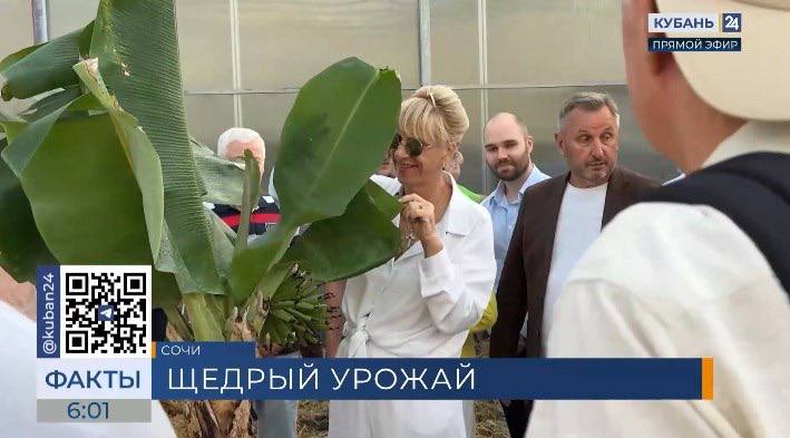 Участники из России Абхазии и Камеруна обсудили технологии выращивания субтропических культур обменялись опытом и даже сыграли футбольный матч в завершение мероприятия В Сочи прошел первый в России агрофорум День субтропического поля Форум объединил представителей 35 российских регионов делегации из Абхазии и Камеруна а также местных фермеров В центре внимания оказались вопросы продовольственной безопасности и экспорта Завершился форум символично не на аграрном а на футбольном поле Сборная фермеров сыграла матч с командой Минсельхоза РФ ВестникАбхазии