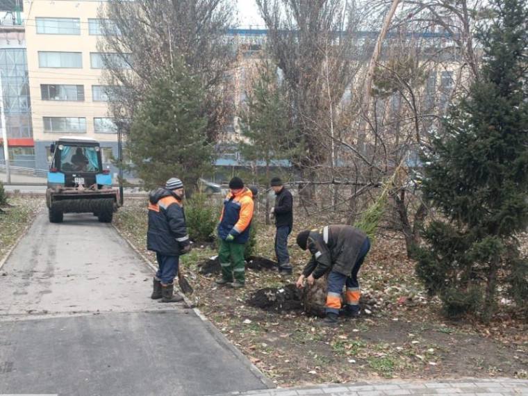 Муниципальные агрономы продолжают осенние посадки  ℹ  На этой неделе агрономы высаживали деревья на проспекте Мира, Иртышской набережной, 25 лет Октября, дублере Лукашевича. Также продолжается озеленение большого участка Сыропятского тракта.    Подготовительные работы к дальнейшим высадкам деревьев ведутся на набережной Тухачевского, улицах Маяковского, Авиационной и Маршала Жукова.   За эту неделю на улицах Омска было высажено 268 деревьев. Среди них сосны, лиственницы, яблони и тополя.