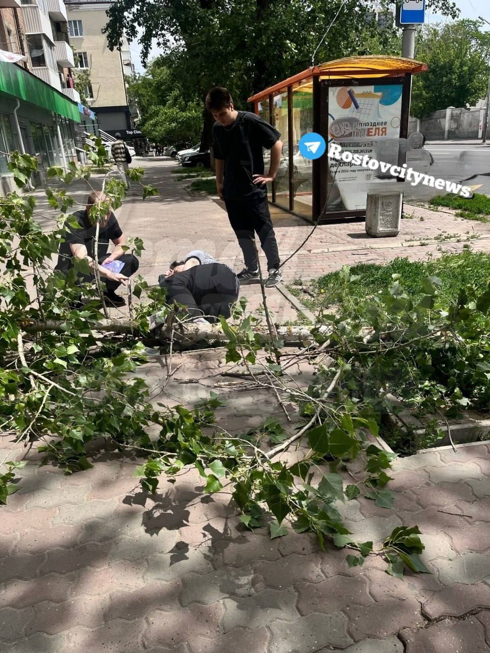 На женщину упало дерево на Текучева, 141 На место происшествия вызвали скорую. По словам очевидцев, у ростовчанки может быть перелом ноги. Работа Авто Глэмпинг Медицина