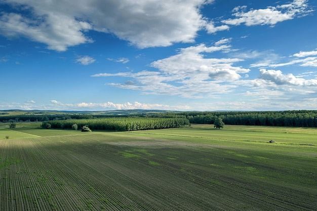 Инвентаризацию государственных земель для застройки закончат до 2027 года  Об этом заявил вице-премьер Марат Хуснуллин.    Работа будет проводится совместно с Росреестром, Фондом развития территорий, Роскадастром и ДOM.PФ.      В оборот планируется вовлечь не менее 10 тыс. гектаров земельных участков. Будет сформирован земельный банк пригодных для строительства участков, и начнется работа совместно с регионами для повышения градостроительного потенциала.   «Первые шаги уже сделаны. Наша задача — наращивать темпы и завершить инвентаризацию всех участков казны до 2027 года», — пояснил Хуснуллин.