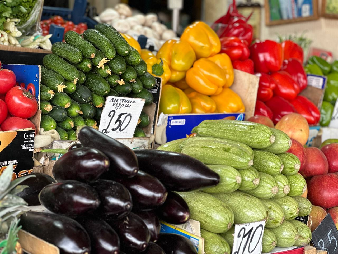 Властям предложили закрепить цены базовых продуктов для борьбы с инфляцией  Долгосрочные соглашения между производителями, торговыми сетями и государством помогут сдержать рост стоимости этих товаров.   Сейчас годовая инфляция составляет 9,3%. Под заморозку цен должны попасть мясо, сахар, овощи и фрукты.   Среди других мер — закупки в дружественных странах, прямые поставки от фермеров и снижение пошлин на товары, которых не хватает.