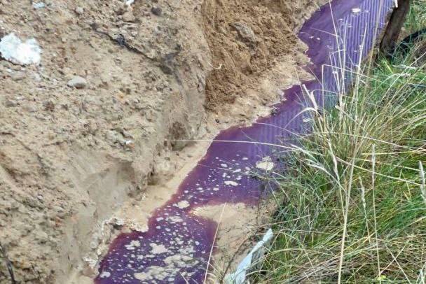 Производителя L Cosmetics обвиняют в загрязнении окружающей среды Жители Всеволожского района Ленинградской области забили тревогу когда между домами заструились цветные ручейки а в воздухе разлились косметические отдушки Местное представительство госэконадзора сразу обратило внимание на завод ООО ПК Натур Косметикс в деревне Разметелево Компания принадлежит Инне Тимофеевой и выпускает продукты под брендом L Cosmetics По данным сервиса Rusprofile выручка предприятия за 2024 год составила 98 6 млн руб тогда как оборот ООО ТД Натур Косметикс которое тоже принадлежит Тимофеевой превысил 621 5 млн руб Профильные ведомства зафиксировали три источника сброса недостаточно очищенных сточных вод характерных косметических цветов и запахов Некоторые местные жители забеспокоившись заказали анализ воды из собственных скважин который показал неудовлетворительные химические и микробиологические результаты Комментируя ситуацию Инна Тимофеева рассказала что завод недавно переехал в Разметелево и некоторые технологические процессы ещё предстоит восстановить Кроме того на предприятии произошла нештатная ситуация которая и привела к утечкам Тем не менее госорганы ищут владельца земельного участка чтобы в официальном порядке потребовать устранить нарушения   Цена красоты