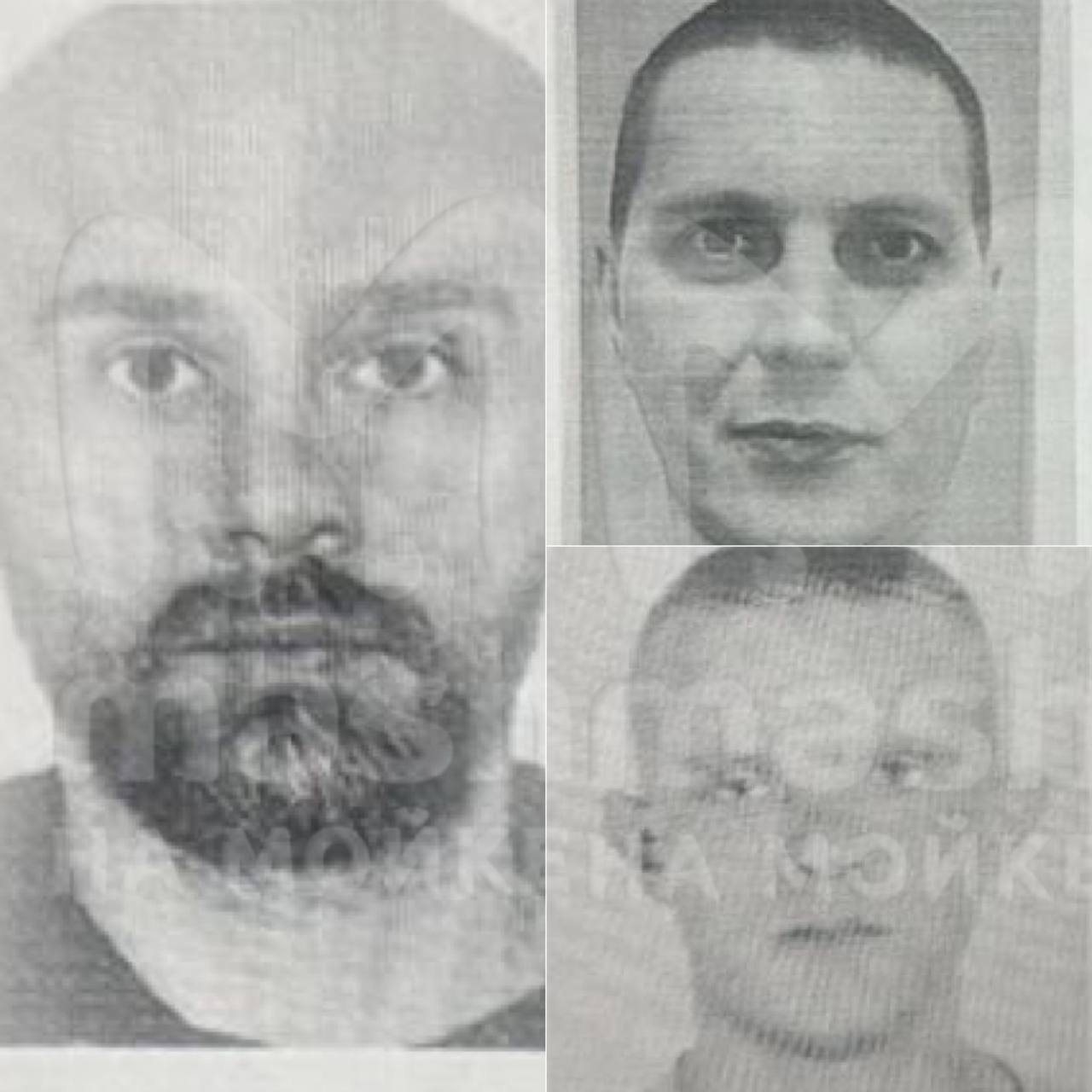 Мужчину в Мурино похитили лже-сотрудники полиции на "мерседесе", ранив его ножом. Сейчас похитителей ищут вместе с жертвой, вводился план "Перехват". На улице Шекспира несколько молодых людей на чёрном "мерседесе" GLS00 с архивными номерами вышли, предъявили удостоверения и насильно затолкали в салон 38-летнего шиномонтажника Станислава слева — перед этим один из якобы сотрудников достал нож и ударил похищенного в руку. В органы обратился коллега похищенного — он подвозил мужчину до дома после работы к слову, это была его первая смена и стал свидетелем нападения. Участники похищения справа уже установлены сотрудниками, ведётся розыск подозреваемых. Mash на Мойке — новости СПб