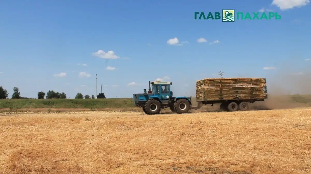 В Беларуси предусмотрят альтернативные варианты привлечения к ответственности трактористов машинистов Палата представителей Беларуси 24 ноября приняла в первом чтении проект поправок в кодекс по административным правонарушениям для трактористов лишившихся прав управления транспортом Если закон окончательно примут это позволит некоторым людям лишённым водительских прав управлять колесными тракторами и самоходными машинами кроме категории А Подробнее читайте