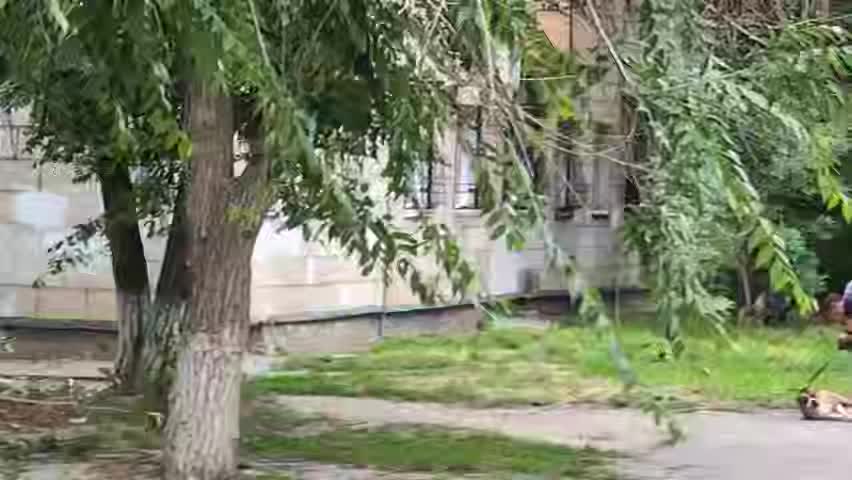 Волгоград: мужчина жестоко обращается с собакой на глазах дочери