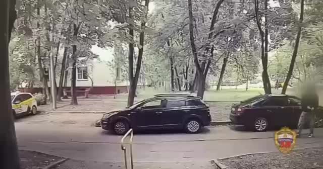 В Москве задержан грабитель, похитивший лекарства у прохожего