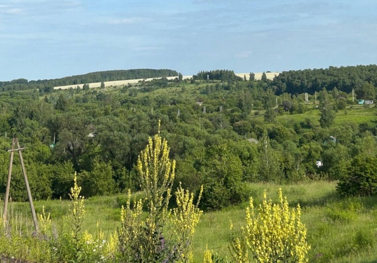 На орловских фермах обнаружили нарушения в учёте пчёл   newsorel ru fn 1791772 html В Орловской и Курской областях проверили учёт сельхозживотных и нашли серьёзные нарушения В чём они заключаются и как это скажется на производстве молока и мёда в материале   Прислать новость Подписаться   Мы в MAX