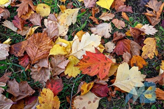 Мурманский Вестник новости Главное сегодня Владимир Путин ратифицировал договор с Венесуэлой против санкций и за многополярный мир В России принят закон о призыве на военную службу в течение года Губернатор Андрей Чибис наградил лучших врачей Мурманской области Из бюджета Мурманской области выделены 1 3 млрд рублей на оплату медпомощи неработающим северянам Мурманчанин Андрей Янович взял серебро на чемпионате России по горному бегу