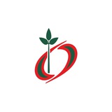ОБНОВЛЕНИЕ