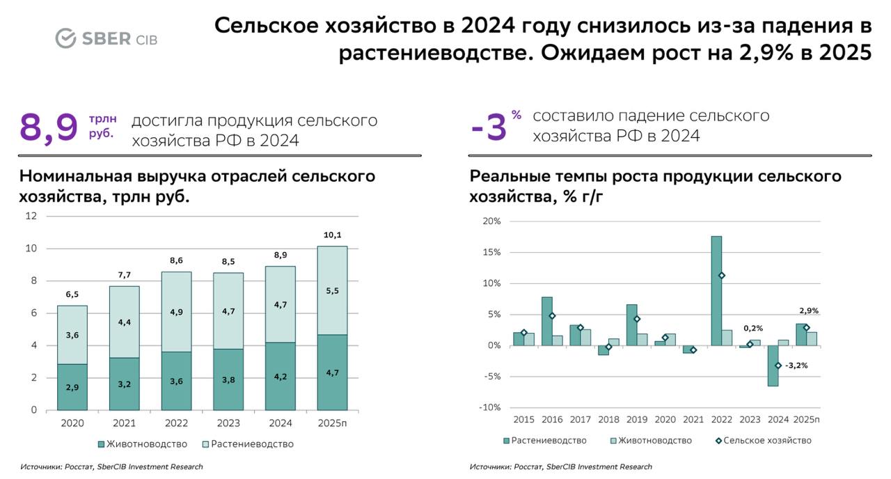 Сокращение российского продовольственного экспорта в 2025 году ускорится, прогнозируют аналитики Сбера. Если в 2024 году экспортные поставки снизились на 5,3%, до $40,7 млрд, то в 2025 году объем экспорта может упаcть еще на 9%, до $37,2 млрд.  Самое большое сокращение ожидается на зерновом рынке. Поставки здесь могут упасть на 21%, до $11,2 млрд. Отгрузки масличных сократятся на 13%, до $8,7 млрд.   Экспорт рыбы и морепродуктов, наоборот, может вырасти с $5,1 до $5,5 млрд. Внешние поставки кормов тоже могут увеличиться на 16%, до $2,1 млрд. Рынок мяса ожидает незначительное увеличение экспортных показателей до $1,6 млрд.  Избежать негативного сценария по экспорту продукции растениеводства вряд ли получится. Уже вполне отчетливо ощущаемое снижение урожая в 2025 году помешает восстановлению отрасли после прошлогоднего падения. Снижение объемов также нивелирует рост экспортных цен на сельхозпродукцию, что помешает экспортерам получить выгоду от благоприятной мировой конъюнктуры.   Хороший повод, чтобы еще раз подумать над изменением структуры российского аграрного экспорта. Добившись больших успехов в поставках сырья, России пора переходить на более маржинальный экспорт продукции глубокой переработки и готовой продукции в сегменте b2c. Хороший потенциал роста экспорта есть в маслах, кормовых основах  сое, кукурузе, шротах  и животных протеинах  свинине и бройлерах .