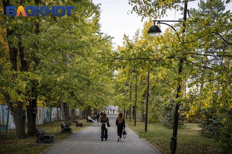 Ботанический сад в Краснодаре закрыли для посещения из за ветра Ограничение будет действовать 14 сентября с утра и до улучшения погодных условий сообщает МЦУ города  Объявления работа Купи продай авто Блокнот в МAХ Подпишись