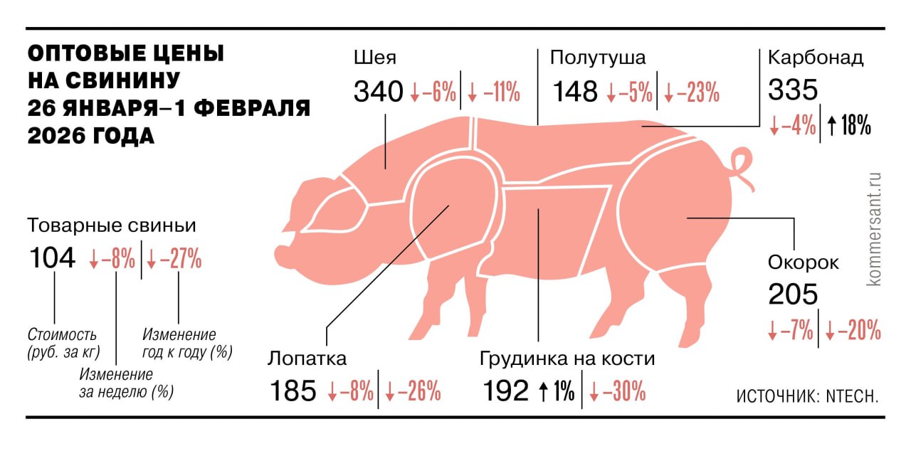 Перепроизводство привело к снижению стоимости свинины за год на 27 Заметнее всего подешевела грудинка на 30 год к году до 192 рублей за килограмм а лопатка на 26 до 185 рублей за килограмм Исключением стал только карбонад сейчас в опте он стоит 335 руб за 1 кг на 18 больше чем в тот же период годом ранее Отраслевые аналитики называют текущую цену свинины некомфортной для производителей она близка к себестоимости поэтому ожидают скорой коррекции производственных планов и отпускных цен Топ Бизнес Подписаться в MAX