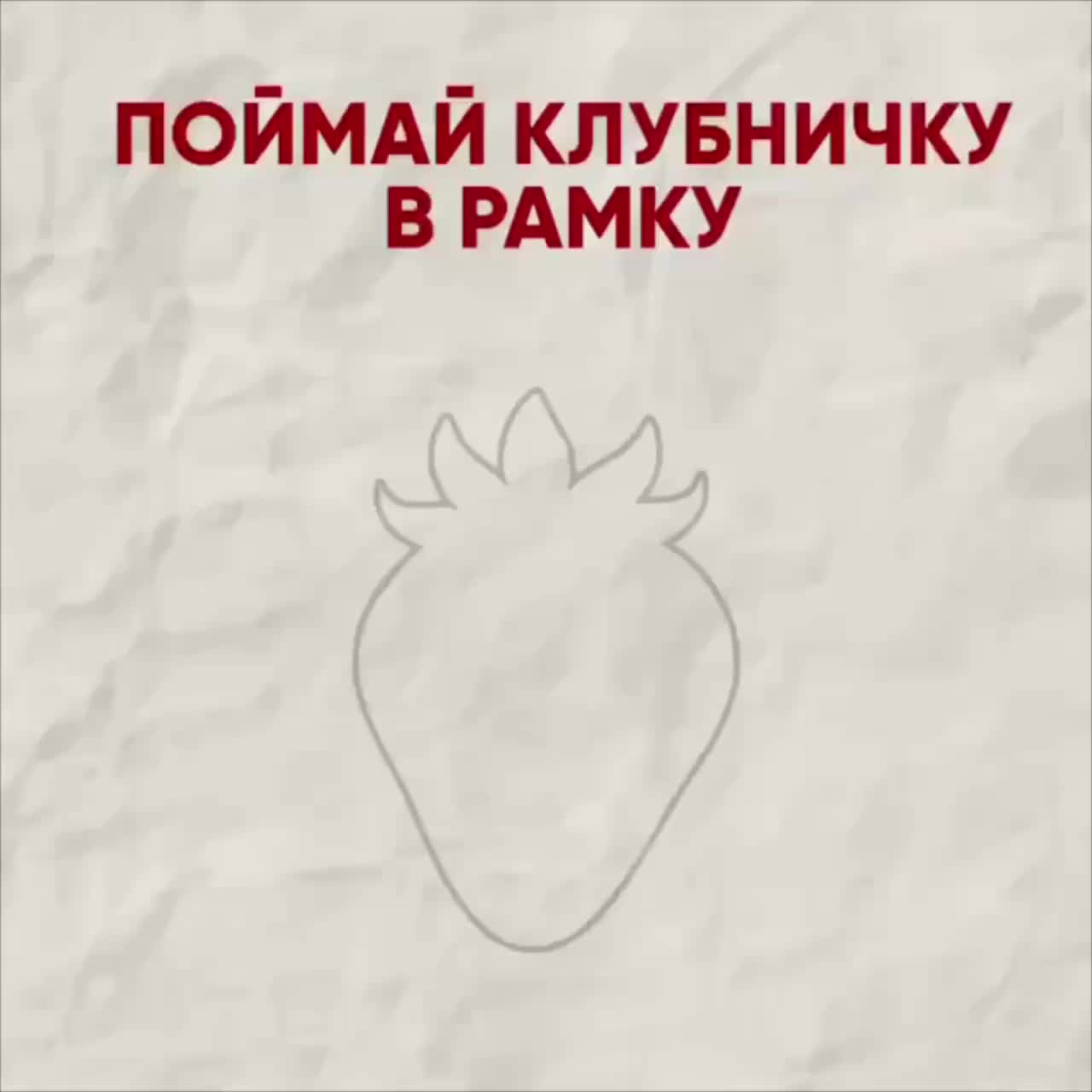 Гастрономические фестивали в России: от дикой природы до сырных деликатесов