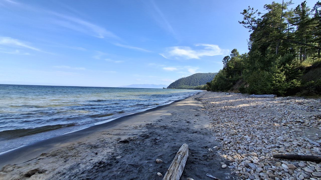 Зеленые пришельцы терроризируют берег Байкала Вторжение зеленых пришельцев на берег Байкала тревожит ученых Бурятии Ученые Института общей и экспериментальной биологии СО РАН подвели итоги масштабного флористического исследования Чивыркуйского перешейка озера Байкал Эти зеленые пришельцы активно внедряются в естественные экосистемы и вытесняют коренные виды К числу таких инвазивных растений относятся шесть новых видов конопля посевная бодяк полевой земляника ананасная зубчатка обыкновенная ромашник непахучий и башенница голая Эти растения оказывают значительное влияние на экосистему   А три вида отнесены к наиболее опасным растениям Дальневосточного федерального округа и требуют организованного уничтожения бодяк полевой элодея канадская известная как водяная чума и ячмень гривастый Но есть и хорошие новости по итогам исследования выяснилось что биологическое разнообразие Чивыркуйского перешейка значительно богаче чем предполагалось Хотя антропогенное влияние и оказалось более выраженным В 2025 году было выявлено 18 новых для перешейка видов растений среди которых лишь четыре являются аборигенными такими как незабудка подражающая и астрагал монгольский Остальные 14 видов относятся к заносным адвентивным и как правило появились здесь из за человеческой деятельности за последние 34 года Новости Бурятии и Байкала
