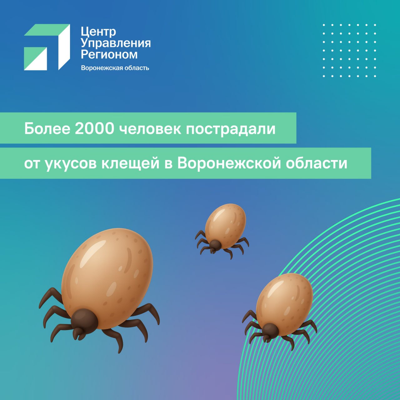 В Воронежской области 2129 человек пострадали от укусов клещей, сообщает региональный Роспотребнадзор.    На данный момент проведены обработки от паразитов в местах массового пребывания и отдыха на площади 1589 га.  Воронежская область не относится к эндемичным регионам по клещевому вирусному энцефалиту, и случаи этого заболевания у нас не регистрируют, однако напоминаем правила поведения на прогулке в парках и лесополосах:   Надевайте закрытую одежду – преимущественно светлую и однотонную, максимально закройте открытые участки кожи   Обработайте одежду препаратами, содержащими акарициды – вещества, убивающие клещей   Осматривайте себя и детей, особенно участки с самой тонкой кожей    Вернувшись с прогулки встряхните одежду, осмотрите себя и близких, а также домашних питомцев.