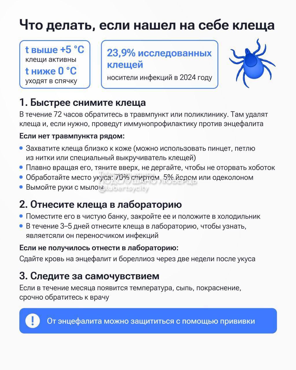 Почти 270 тысяч человек обратились в медучреждения России из-за укусов клещей с начала сезона. Больше всего случаев — в Свердловской, Кировской, Кемеровской, Челябинской, Томской областях, Пермском крае и Удмуртии, сообщили в Роспотребнадзоре. Около 24% исследованных клещей были носителями инфекций в 2024 году. Подслушано Люберцы