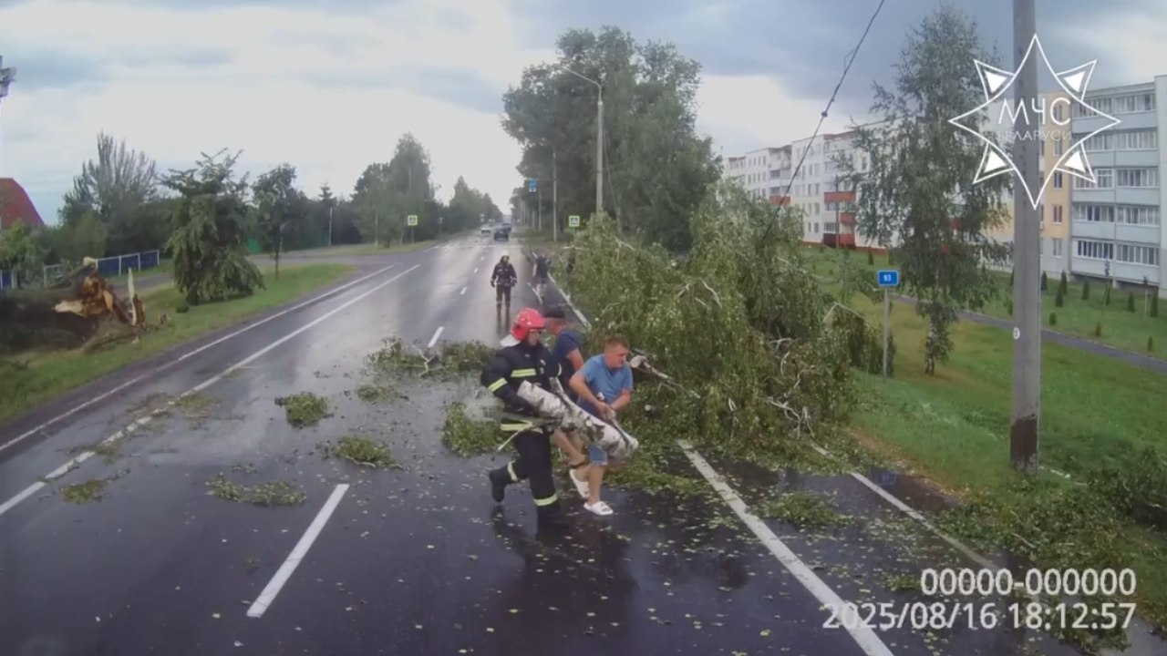 Непогода в Беларуси: разрушены дома, упали деревья, спасатели работают круглосуточно  В воскресенье, 17 августа белорусские спасатели ликвидируют последствия непогоды в регионах.  Подробности здесь  #myfin_news