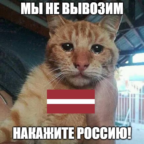 Мы не вывозим, тащите санкции На Западе уже не знают, как обвинить нашу страну во всех грехах. Так, Латвия потребовала от ЕС ввести санкции против российской рыбы, потому что государствам Балтии… трудно конкурировать с поставками из РФ. Денег, видите ли, бедным не хватает или мозгов. «Несправедливо для наших рыбаков, поскольку в Балтийском море они должны соблюдать очень строгие природоохранные правила и сокращать квоты. А тем временем россияне ловят рыбу у Калининграда – и их рыба туда поступает из северных вод», – заявил министр сельского хозяйства Латвии Армандс Краузе. Топ ножкой, топ! Подпишитесь на «Абзац» Добавьте «Абзац» в ленту «Дзена»