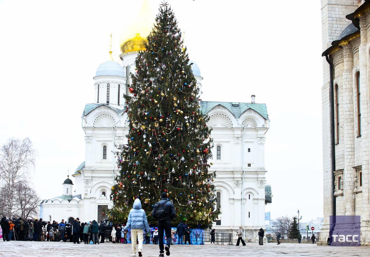 Главную новогоднюю елку страны установили и украсили на Соборной площади Кремля